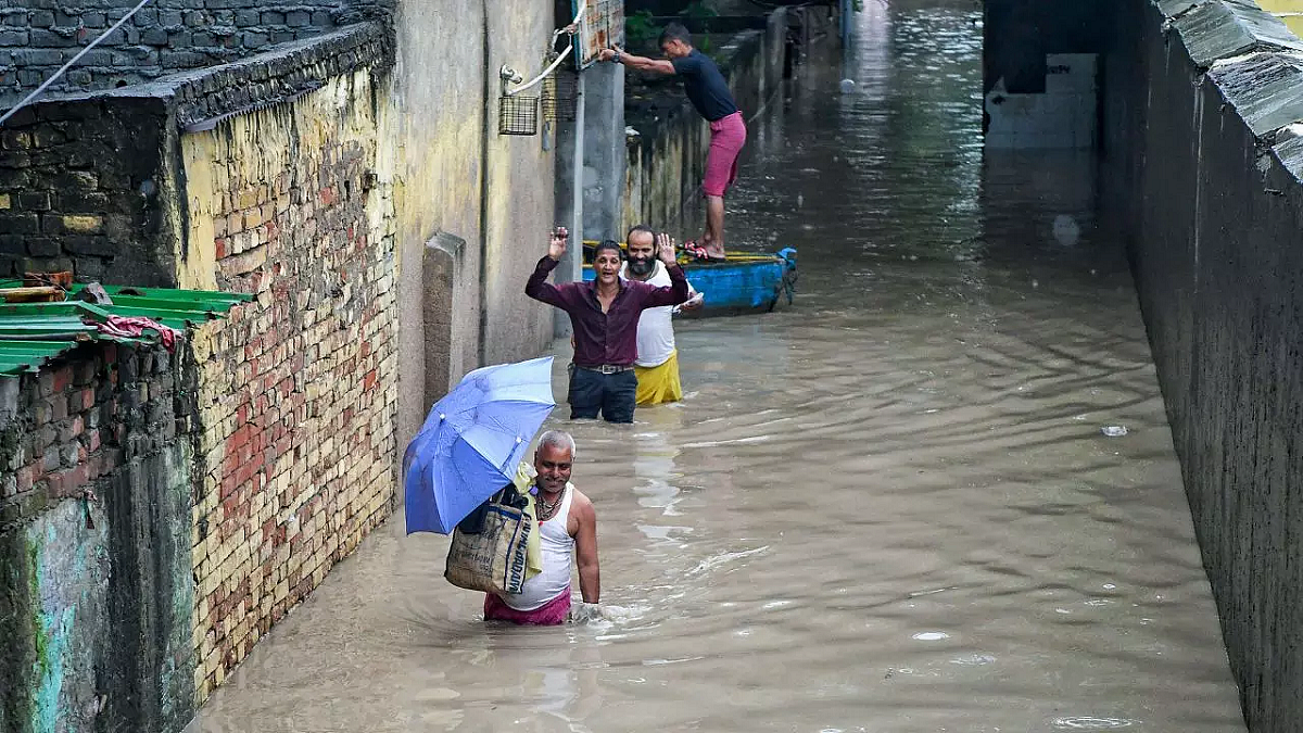 फोटो: सोशल मीडिया