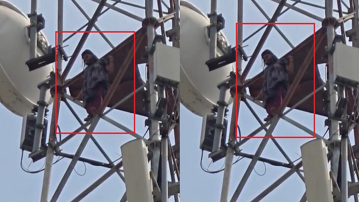 फोटो: सोशल मीडिया