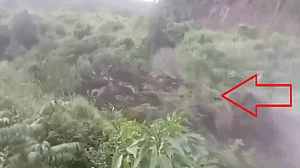 फोटो: सोशल मीडिया