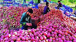 फोटो:सोशल मीडिया