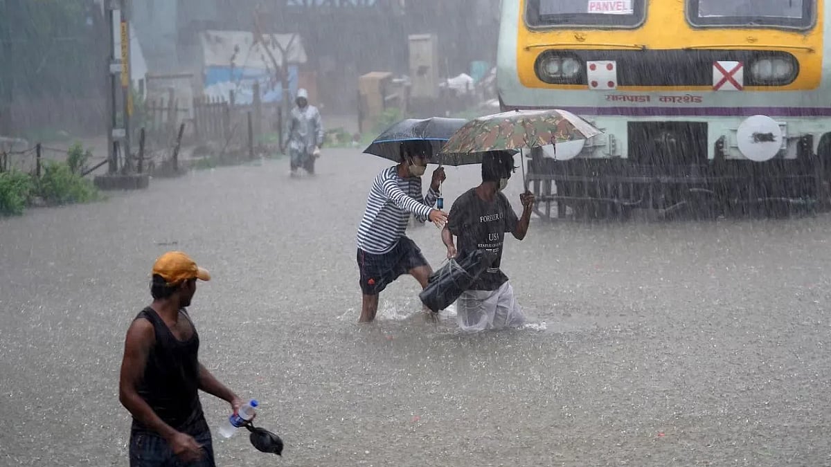 फोटो: सोशल मीडिया