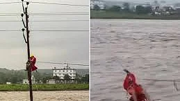 देहरादून में बादल फटने से तबाही, खुद को बचाने के लिए बिजली के खंभे पर चढ़ा शख्स, NDRF की टीम ने ऐसे बचाई जान