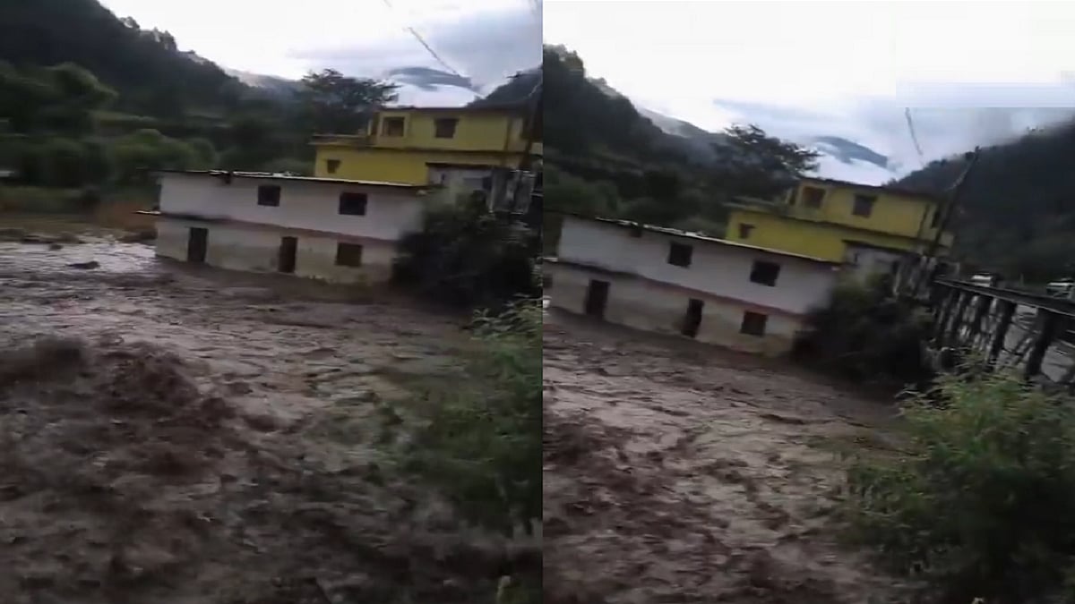 फोटो: सोशल मीडिया