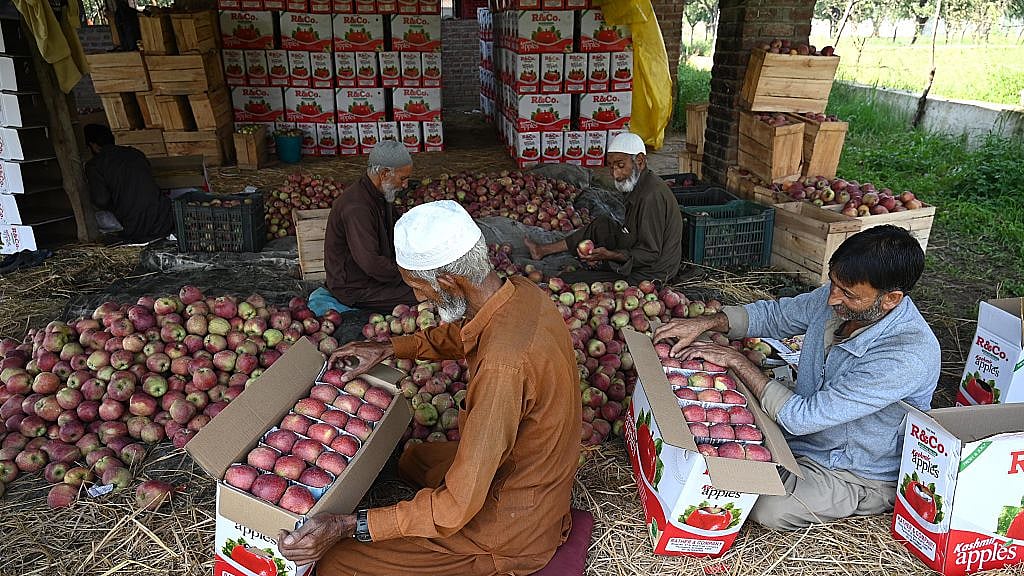 फोटो: getty images