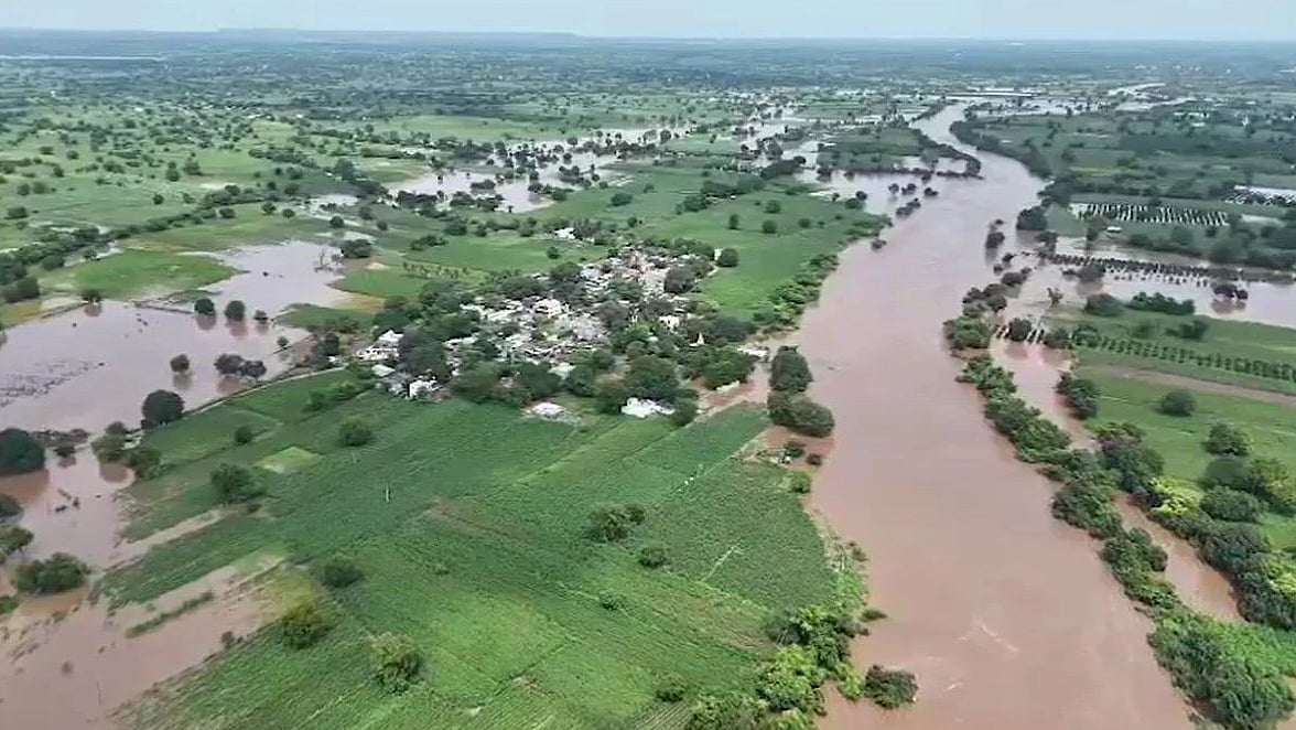 फोटो: सोशल मीडिया