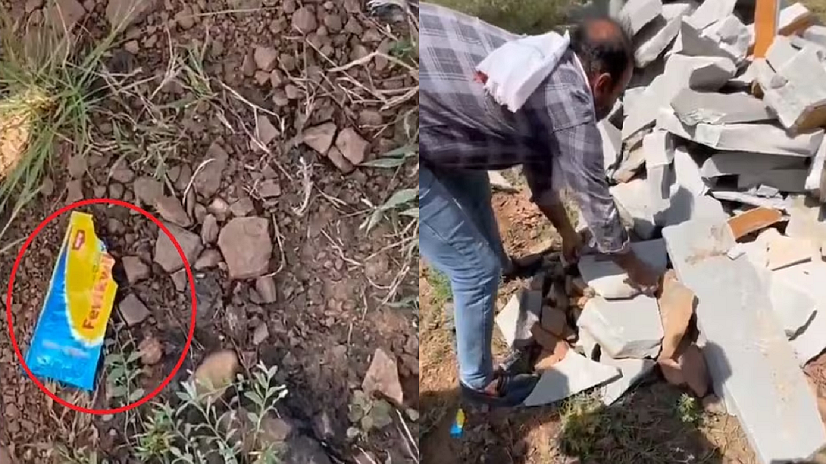 फोटो: सोशल मीडिया