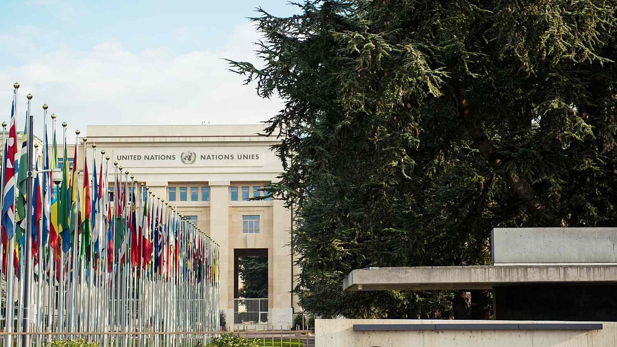 फोटो: सोशल मीडिया