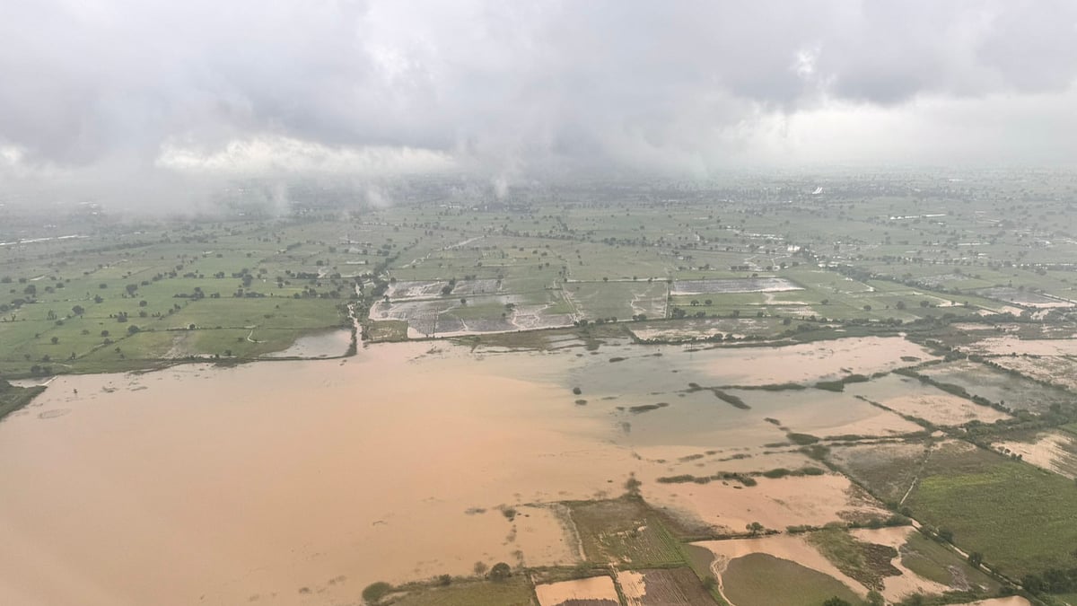 फोटो: सोशल मीडिया