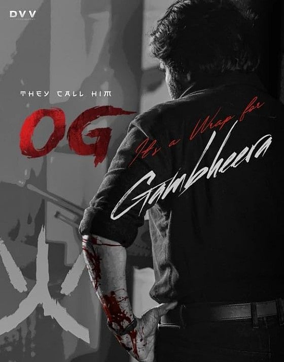 सिनेजीवन: कृति सेनन की हल्दी रस्म में लहूलूहान होकर पहुंचे धनुष और 'ओजी' और 'जॉली एलएलबी 3' ने कमाई के बनाए नए रिकॉर्ड