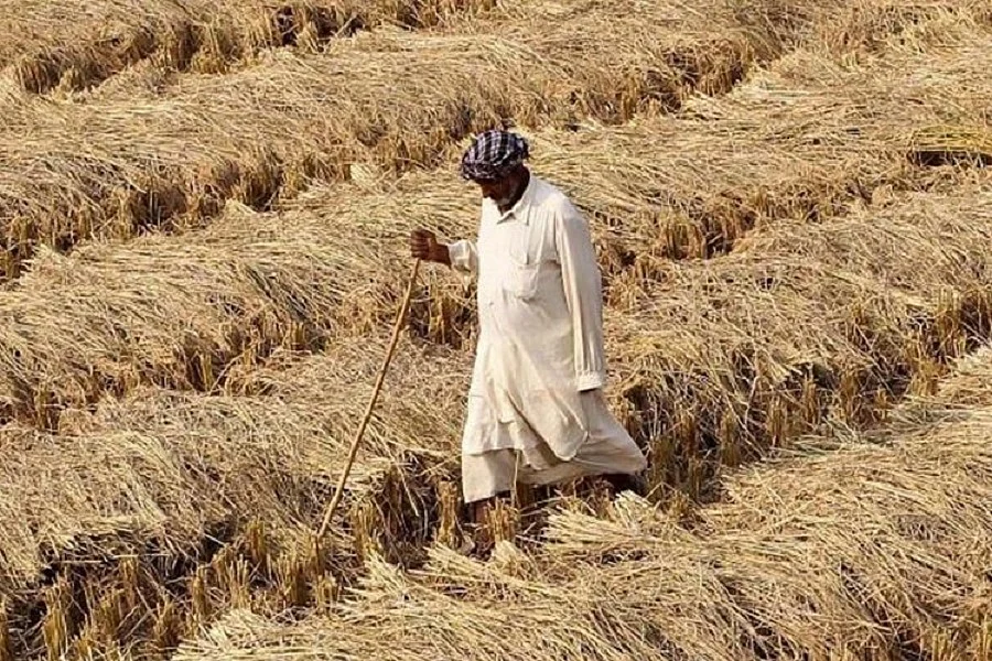 एमएसपी में नाकाफी बढ़ोतरी से किसान नाखुश, घाटा और बढ़ेगा