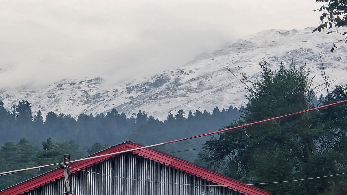 फोटो: सोशल मीडिया