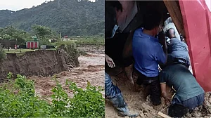 फोटो: सोशल मीडिया