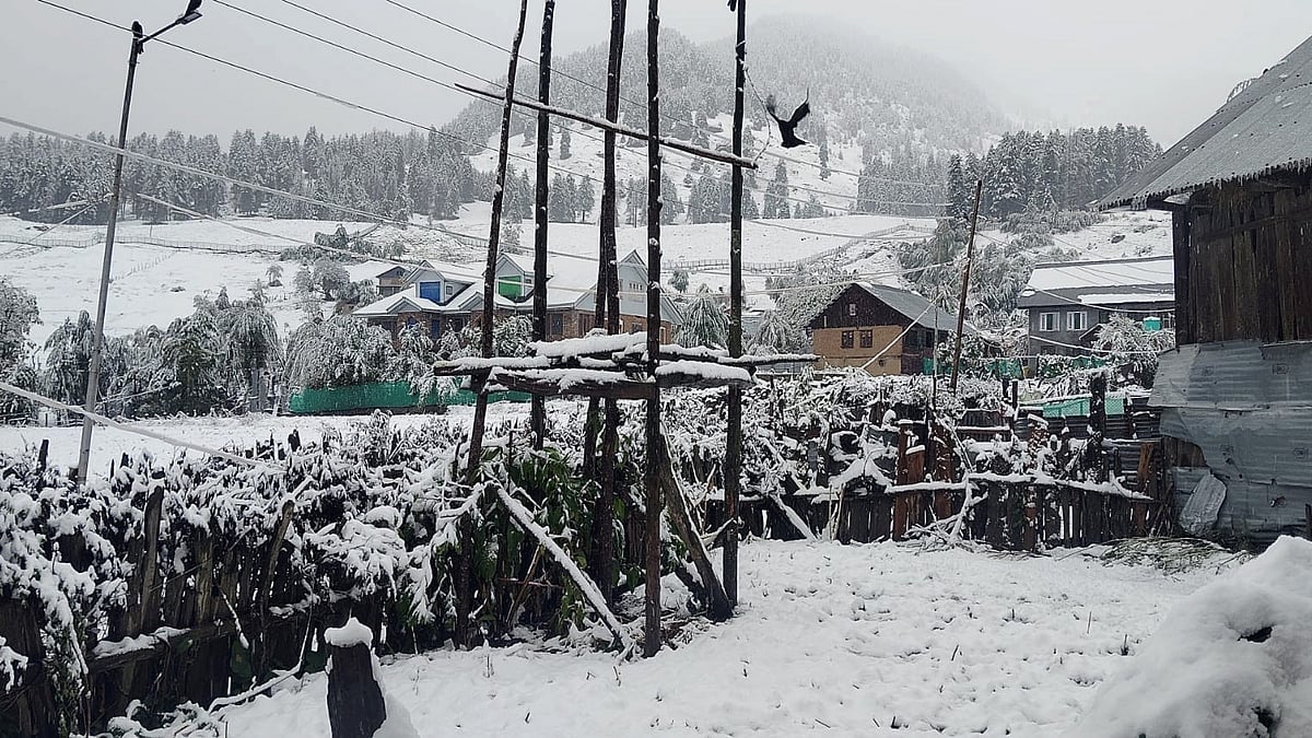 कश्मीर के ऊंचे इलाकों में फिर से बर्फबारी