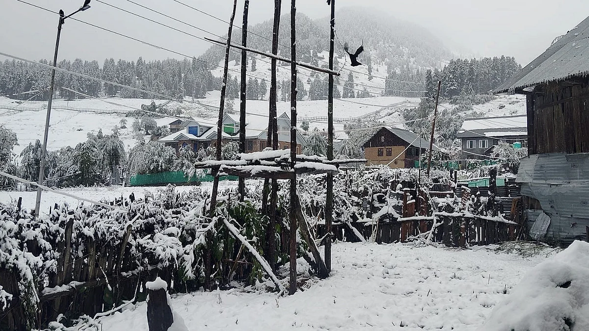 कश्मीर के ऊंचे इलाकों में फिर से बर्फबारी