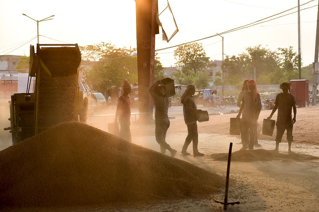 पंजाब: धान के किसान काट रहे निराशा की फसल, मंडियों में इतनी जगह नहीं उसे वहां रखा या सुखाया जाए! 