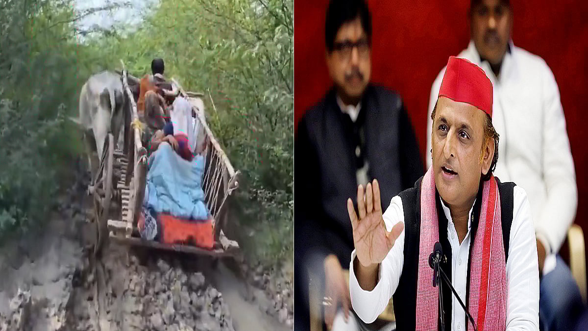 फोटो: सोशल मीडिया