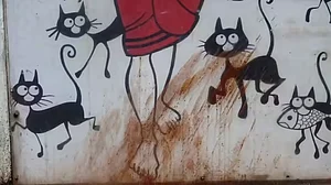 प्रतीकात्मक तस्वीर