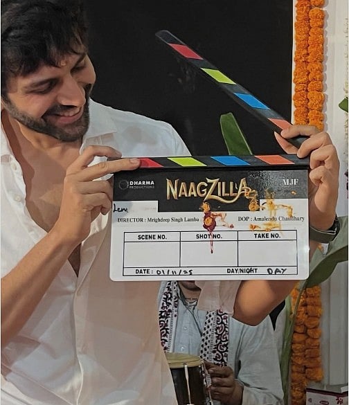 सिनेजीवन: अल्लू अर्जुन के छोटे भाई की हुई सगाई और 'नाजिला' से धर्मा प्रोडक्शन और कार्तिक आर्यन की नई साझेदारी