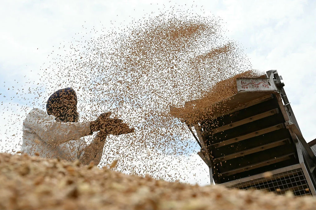 आपदा, फसल की बर्बादी के बाद घोटालों की बाढ़!