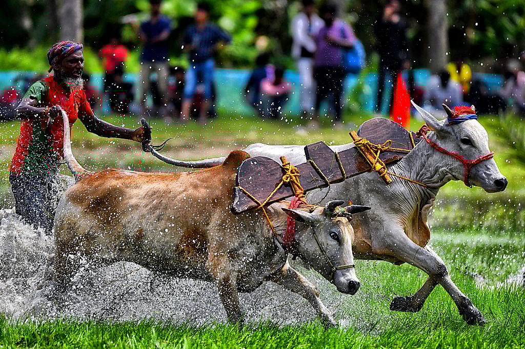 फोटो: Getty Images