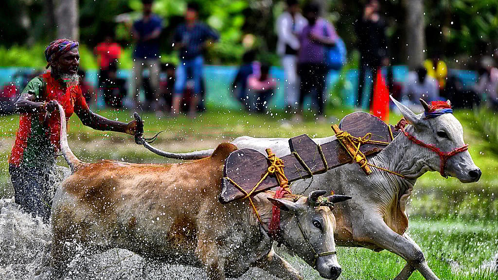 फोटो: Getty Images