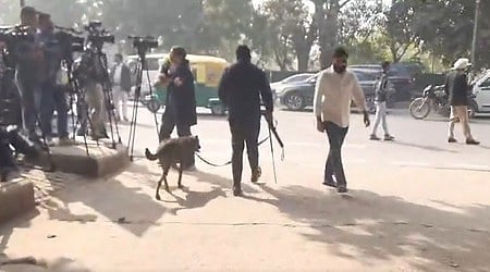 फोटो: सोशल मीडिया