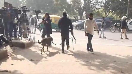 फोटो: सोशल मीडिया