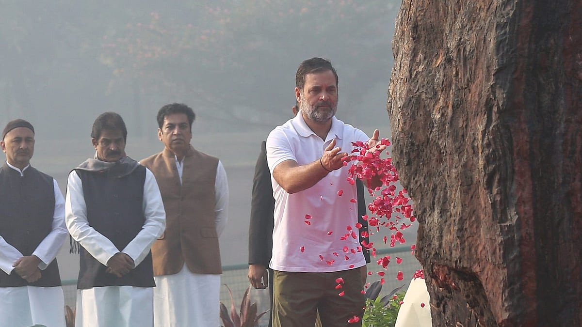 फोटो: विपिन