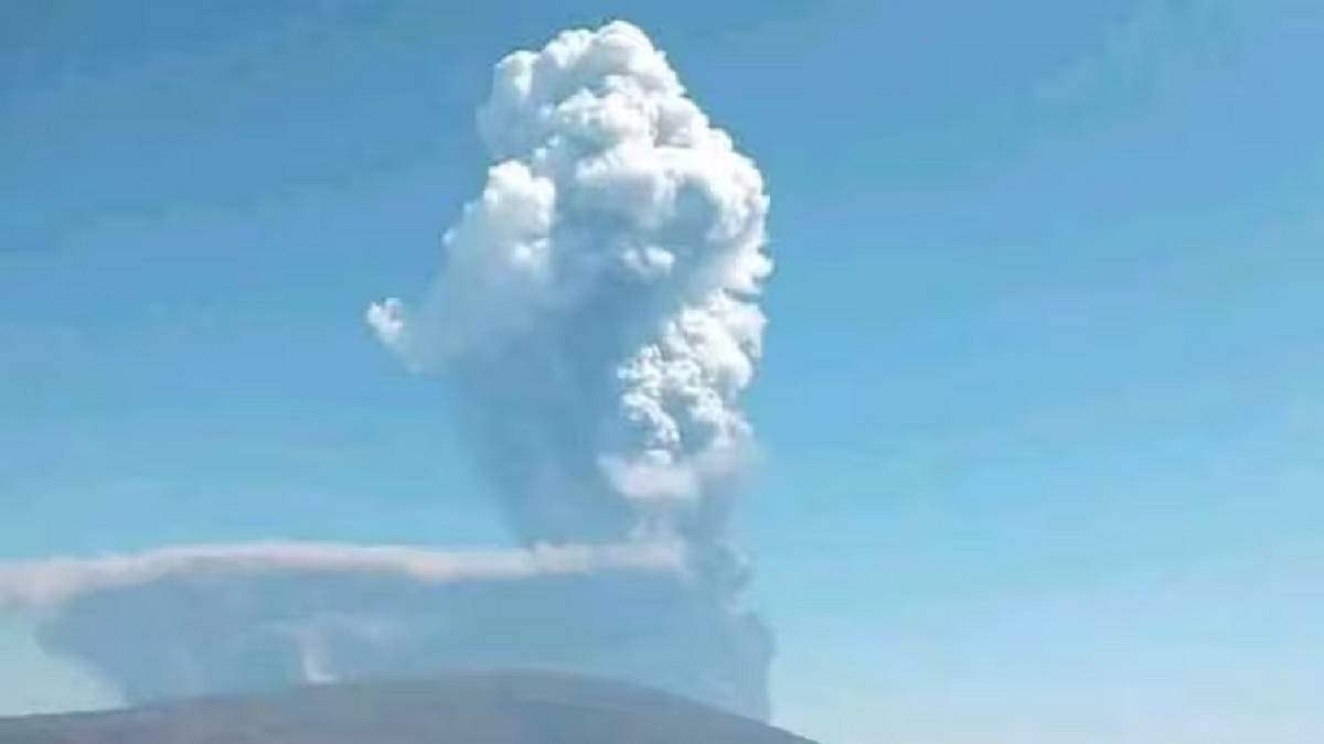 फोटो: सोशल मीडिया