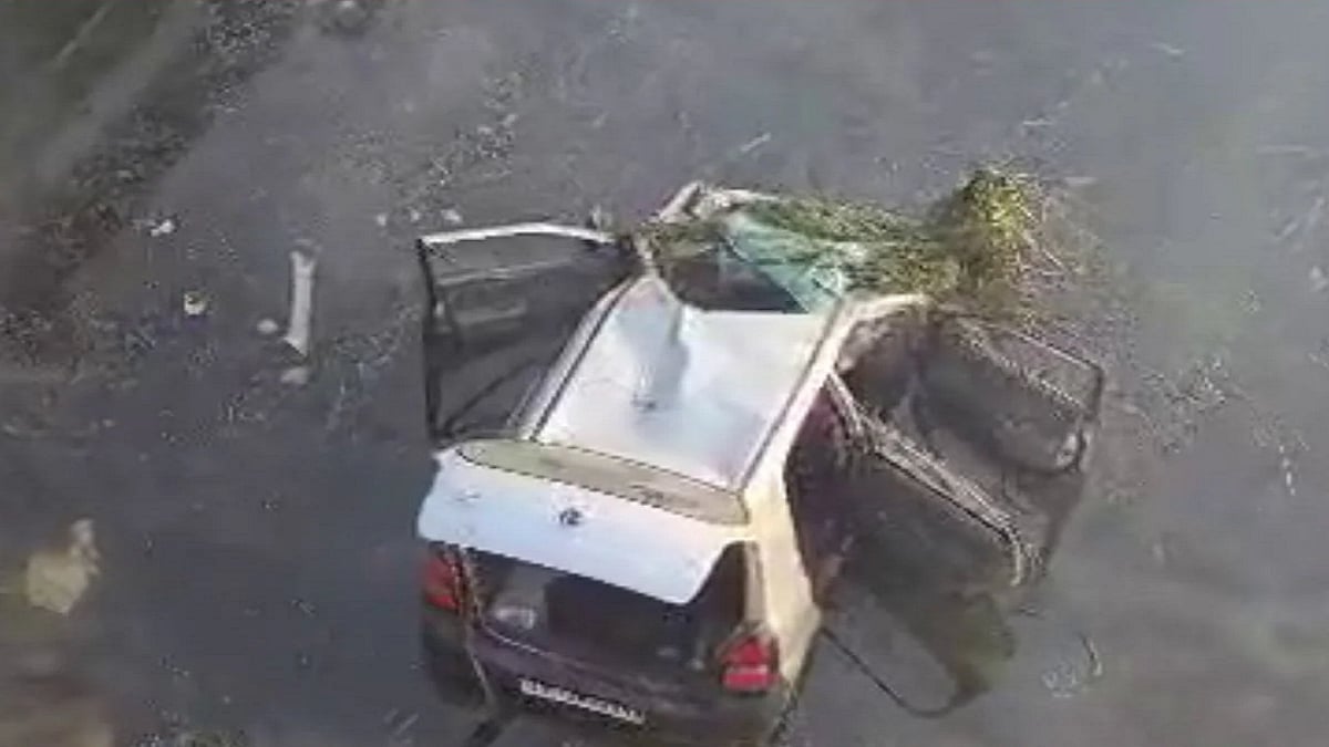 फोटो: सोशल मीडिया