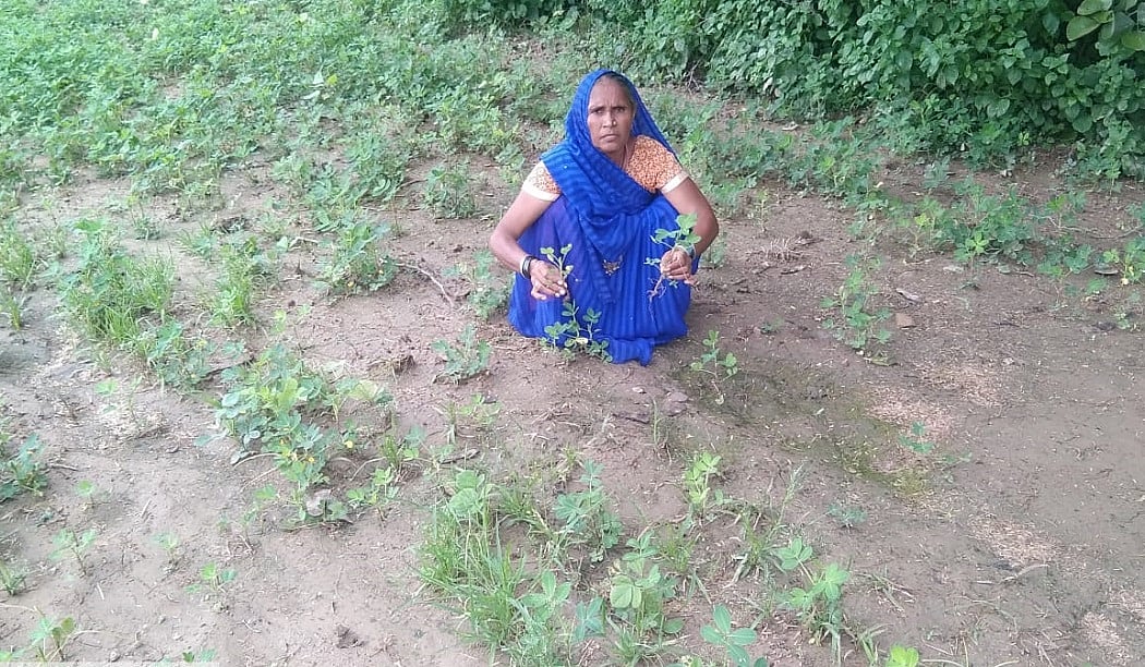 मुआवजे और राहत के इंतजार में बुंदेलखंड के किसान, साहूकारों के कर्ज में डूबने को मजबूर