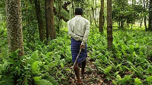 वनाधिकार कानून जंगल का सबसे बड़ा दुश्मन, वनवासियों को अधिकार देने के नाम पर खुली लूट का जरिया बना