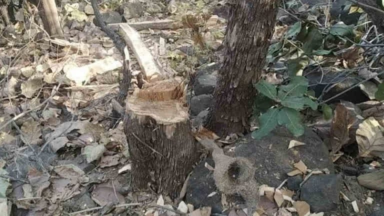 प्रतीकात्म तस्वीर