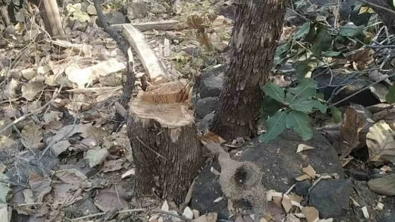 प्रतीकात्म तस्वीर