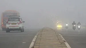 फोटो: सोशल मीडिया