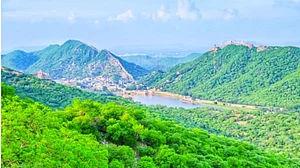 फोटो: सोशल मीडिया