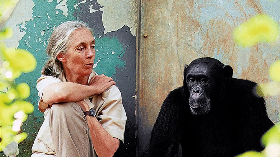 साल जो गुजर गयाः वो 5 अंतरराष्ट्रीय हस्तियां जिनके जाने से दुनिया थोड़ी और खामोश हो गई