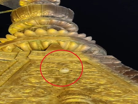 फोटो: सोशल मीडिया