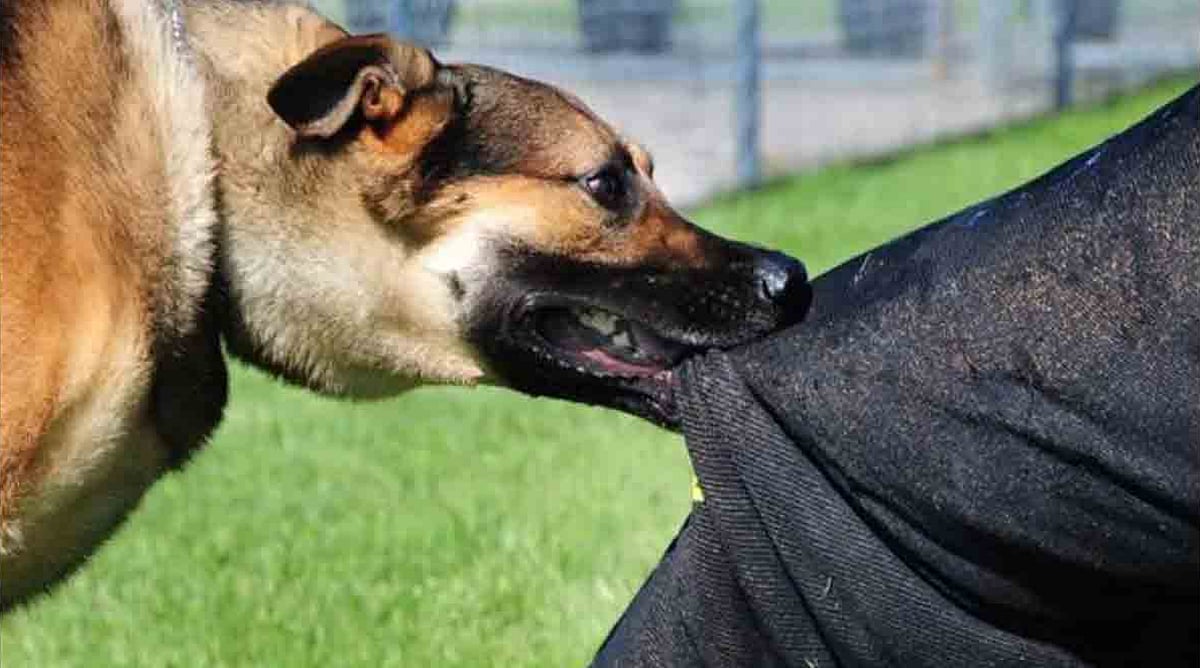 प्रतीकात्मक तस्वीर