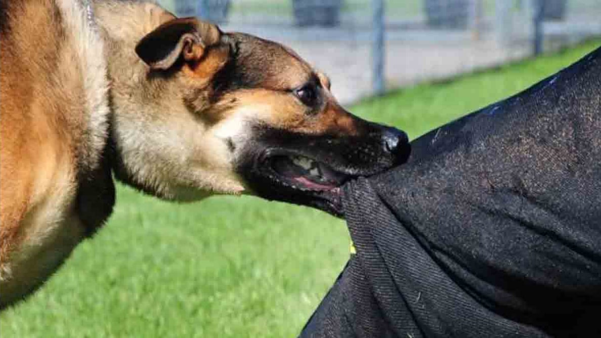 प्रतीकात्मक तस्वीर