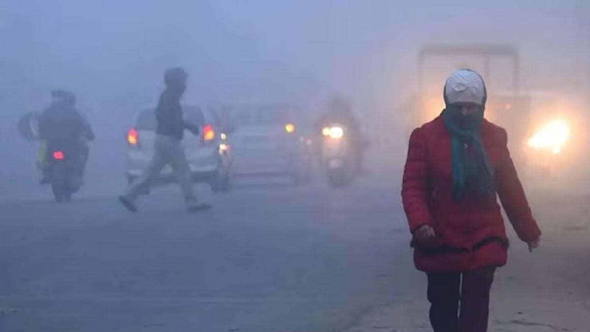 फोटो: सोशल मीडिया  