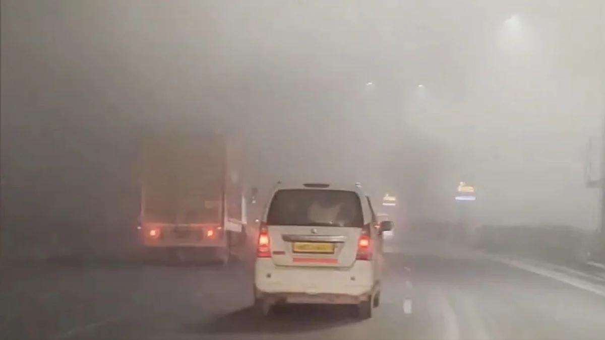 फोटो: सोशल मीडिया  