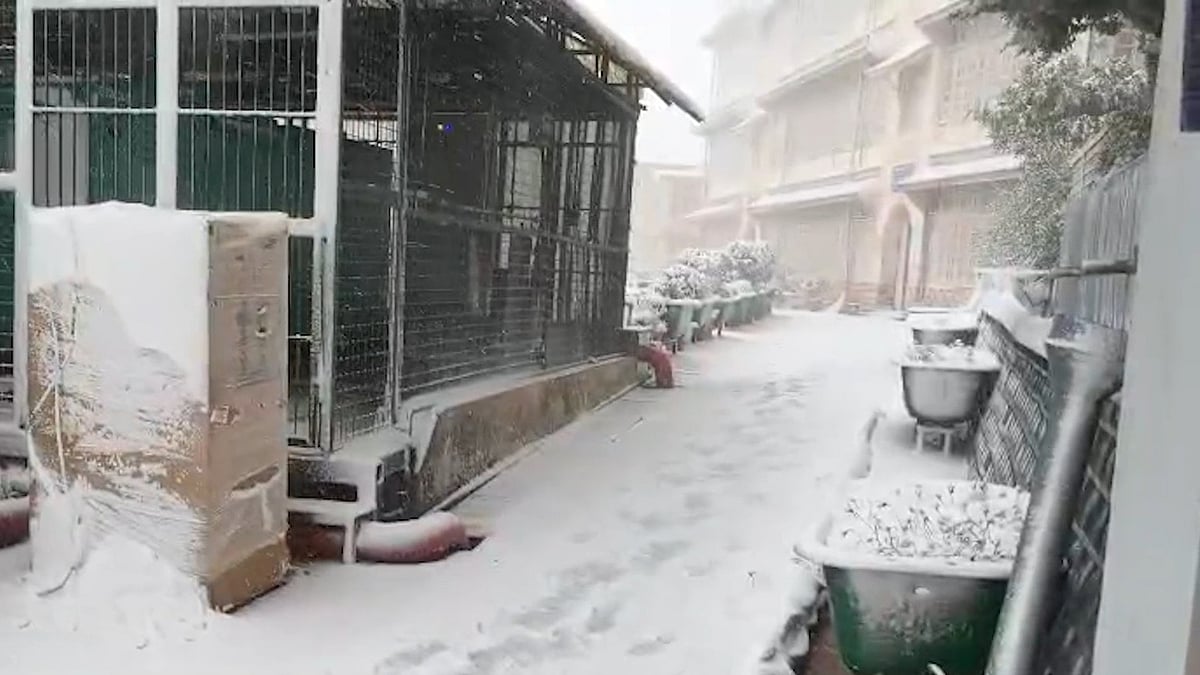 शिमला और मनाली में मौसम की पहली बर्फबारी