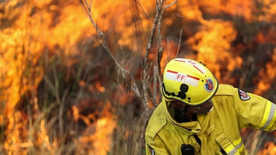ऑस्ट्रेलिया में जंगल की आग ने मचाया तांडव, लोगों को शहर छोड़ने का आदेश, सड़कें भी हुईं बंद