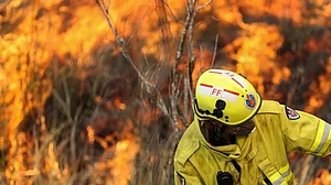 ऑस्ट्रेलिया में जंगल की आग ने मचाया तांडव, लोगों को शहर छोड़ने का आदेश, सड़कें भी हुईं बंद
