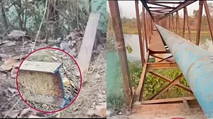 फोटो: सोशल मीडिया