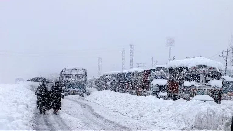 फोटो: सोशल मीडिया