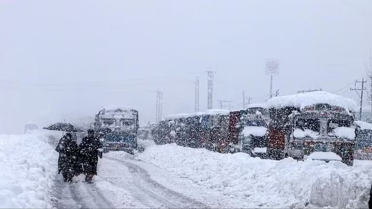 फोटो: सोशल मीडिया