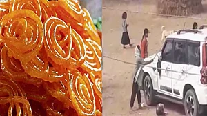 फोटो: सोशल मीडिया