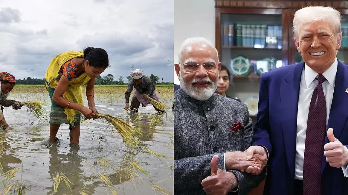 सांकेतिक फोटो